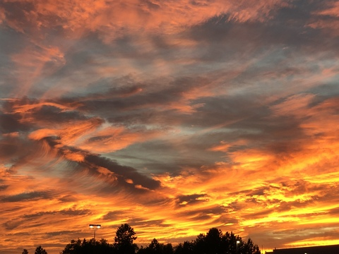 slappyxxpickle OnlyFans - Free Access to 32 Videos & 49 Photos Onlyfans Free Access