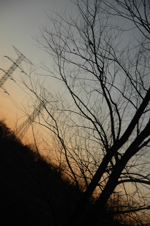 sneakykoe OnlyFans - Free Access to 32 Videos & 49 Photos Onlyfans Free Access