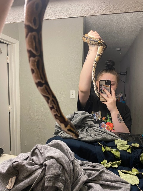 snowbunnybabygirl OnlyFans - Free Access to 32 Videos & 49 Photos Onlyfans Free Access