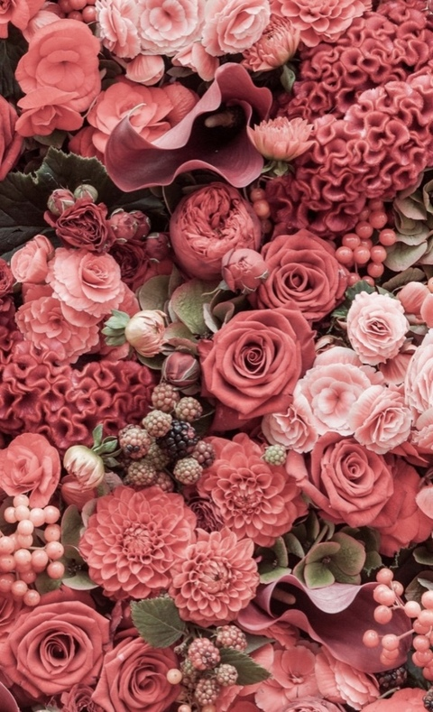 snowwbunz OnlyFans - Free Access to 50 Videos & 49 Photos Onlyfans Free Access