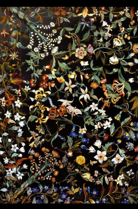 softsoles505 OnlyFans - Free Access to 32 Videos & 49 Photos Onlyfans Free Access