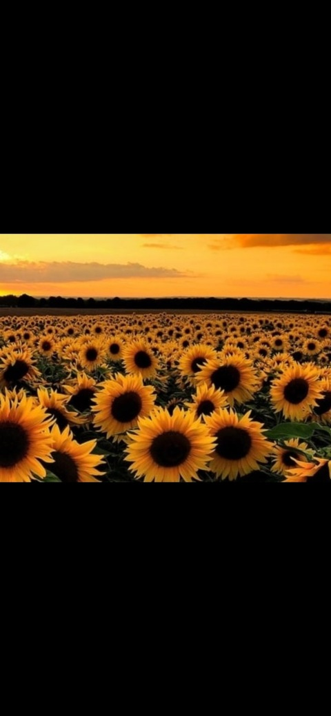 sophia98xo OnlyFans - Free Access to 32 Videos & 49 Photos Onlyfans Free Access