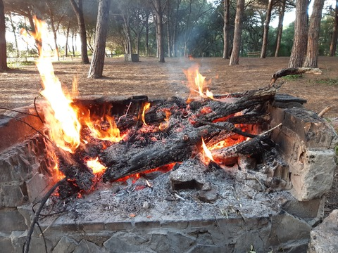 soykeko OnlyFans - Free Access to 32 Videos & 49 Photos Onlyfans Free Access