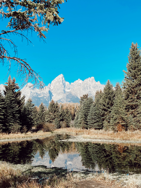 spicytj21 OnlyFans - Free Access to 32 Videos & 49 Photos Onlyfans Free Access