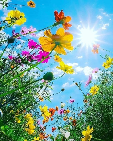 spooknholler OnlyFans - Free Access to 56 Videos & 65 Photos Onlyfans Free Access