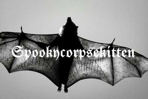 spookycorpsekitten OnlyFans - Free Access to 32 Videos & 141 Photos Onlyfans Free Access