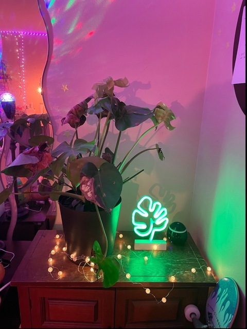 squirtcobain69 OnlyFans - Free Access to 32 Videos & 82 Photos Onlyfans Free Access