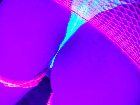 stacylynn204 OnlyFans - Free Access to 40 Videos & 110 Photos Onlyfans Free Access
