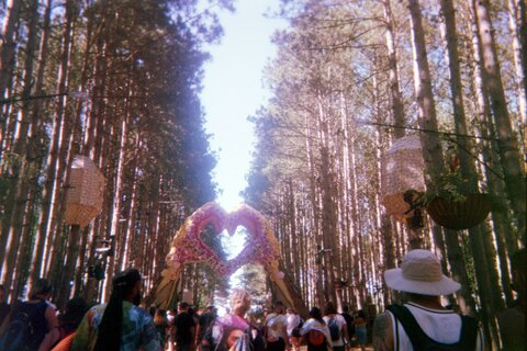 stardustxx44 OnlyFans - Free Access to 32 Videos & 49 Photos Onlyfans Free Access