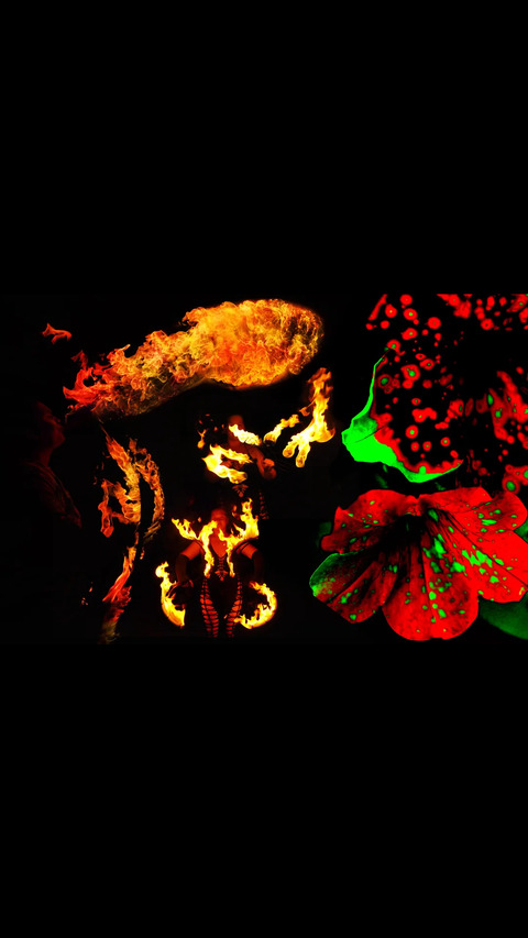 starfirerayne7 OnlyFans - Free Access to 32 Videos & 49 Photos Onlyfans Free Access