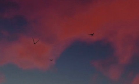 starlettes OnlyFans - Free Access to 32 Videos & 49 Photos Onlyfans Free Access