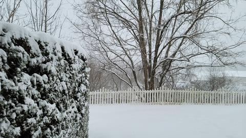 steel_morningstar OnlyFans - Free Access to 32 Videos & 49 Photos Onlyfans Free Access