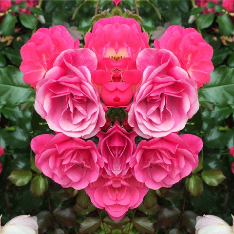 stellagreymodel OnlyFans - Free Access to 32 Videos & 696 Photos Onlyfans Free Access