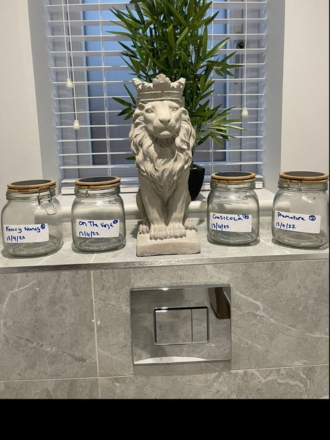 stevo_the_fartman OnlyFans - Free Access to 32 Videos & 49 Photos Onlyfans Free Access