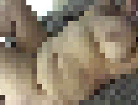 stonedxgoddess OnlyFans - Free Access to 45 Videos & 64 Photos Onlyfans Free Access