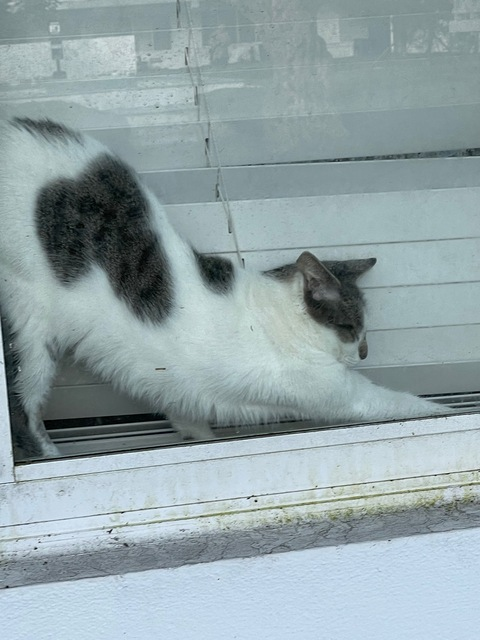 strawbabyshortie OnlyFans - Free Access to 49 Videos & 98 Photos Onlyfans Free Access