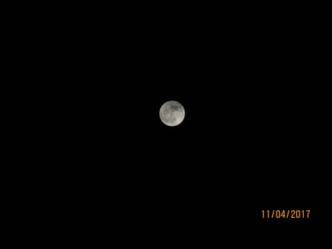 strawberrymooon OnlyFans - Free Access to 32 Videos & 49 Photos Onlyfans Free Access