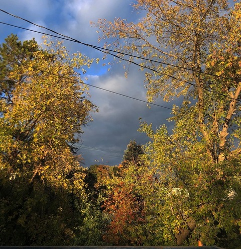 sucksyourassmar OnlyFans - Free Access to 32 Videos & 49 Photos Onlyfans Free Access