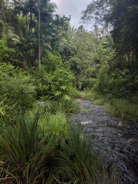 sugar_sprite OnlyFans - Free Access to 32 Videos & 49 Photos Onlyfans Free Access