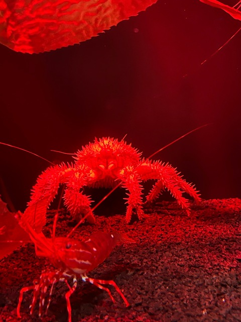 sugarbabe84 OnlyFans - Free Access to 32 Videos & 49 Photos Onlyfans Free Access