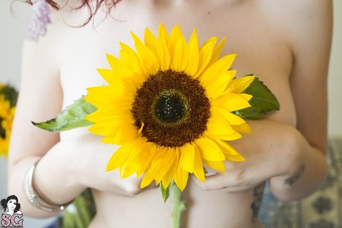 sunflower.free OnlyFans - Free Access to 32 Videos & 49 Photos Onlyfans Free Access