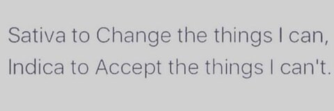 sunflowerstar OnlyFans - Free Access to 32 Videos & 49 Photos Onlyfans Free Access