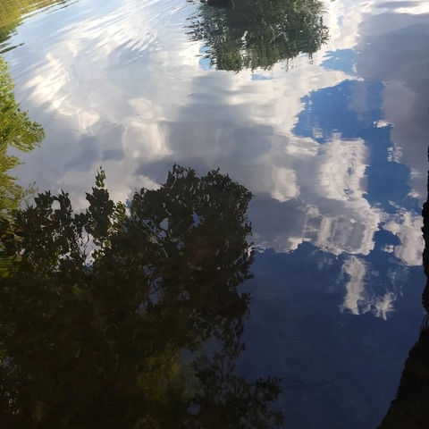 sunjayy OnlyFans - Free Access to 32 Videos & 1316 Photos Onlyfans Free Access