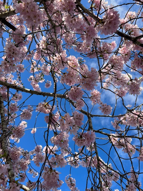 sunmoon023 OnlyFans - Free Access to 32 Videos & 49 Photos Onlyfans Free Access