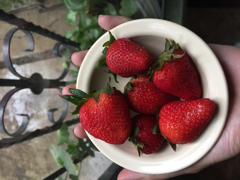 susannponce OnlyFans - Free Access to 32 Videos & 49 Photos Onlyfans Free Access