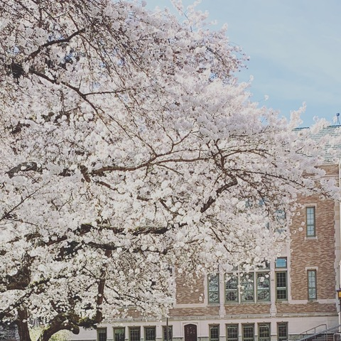 sweetcheri OnlyFans - Free Access to 32 Videos & 49 Photos Onlyfans Free Access