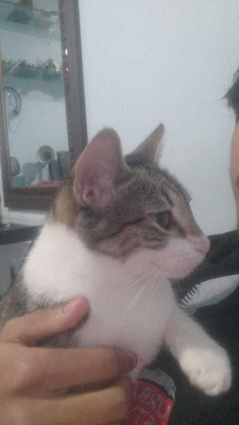 sweetlea OnlyFans - Free Access to 32 Videos & 49 Photos Onlyfans Free Access