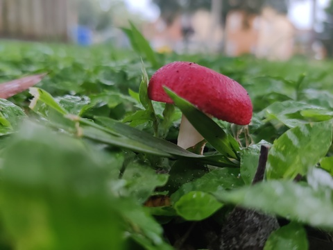 sweetmickeylee7 OnlyFans - Free Access to 62 Videos & 800 Photos Onlyfans Free Access