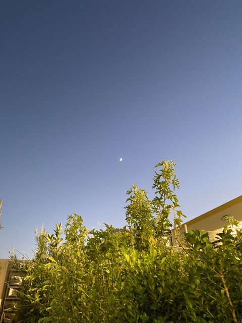 sweetpoppy OnlyFans - Free Access to 32 Videos & 49 Photos Onlyfans Free Access