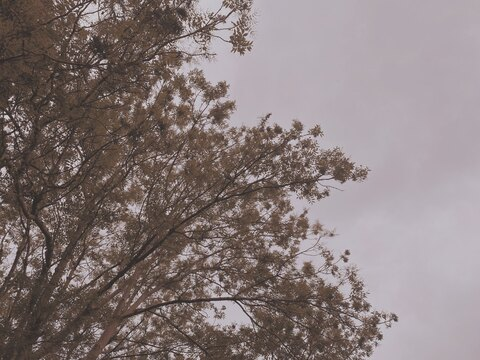 tallgrrl OnlyFans - Free Access to 32 Videos & 49 Photos Onlyfans Free Access