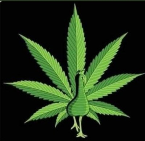 tallknight OnlyFans - Free Access to 32 Videos & 49 Photos Onlyfans Free Access