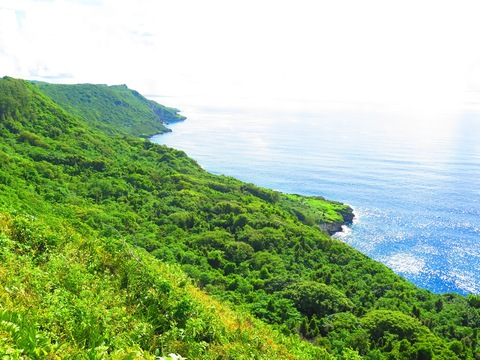 tallmilguy OnlyFans - Free Access to 56 Videos & 49 Photos Onlyfans Free Access