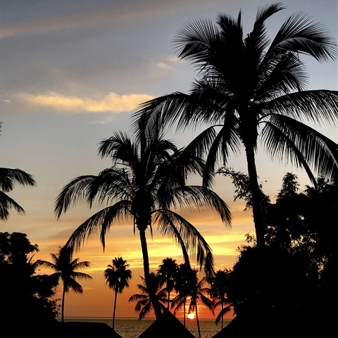 tannahbanana OnlyFans - Free Access to 32 Videos & 49 Photos Onlyfans Free Access