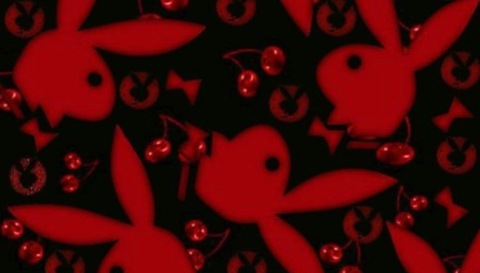 tastelikekandii01 OnlyFans - Free Access to 32 Videos & 49 Photos Onlyfans Free Access