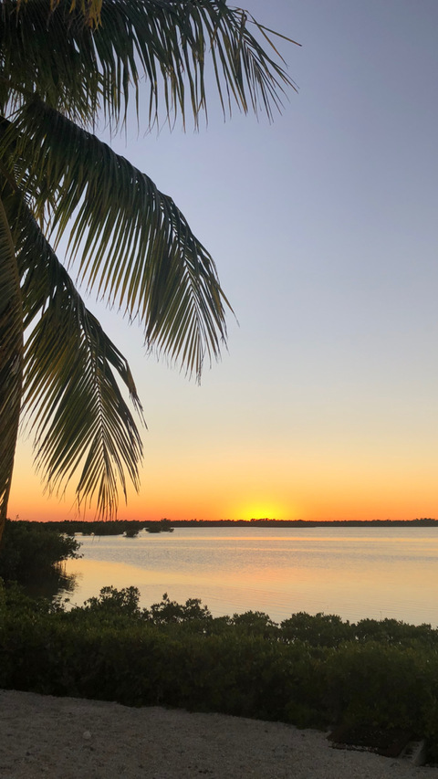 tattedcurvy OnlyFans - Free Access to 32 Videos & 49 Photos Onlyfans Free Access