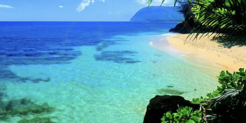 taylorrobinson OnlyFans - Free Access to 32 Videos & 49 Photos Onlyfans Free Access