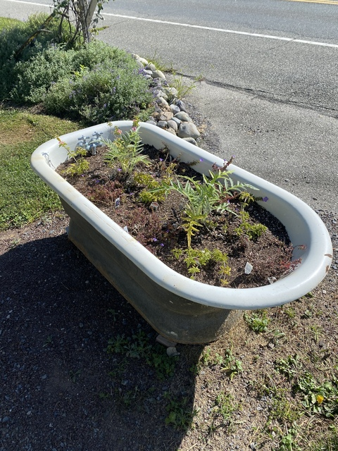 teddyluvsyou OnlyFans - Free Access to 32 Videos & 49 Photos Onlyfans Free Access