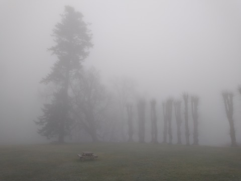 teeshirt10 OnlyFans - Free Access to 32 Videos & 49 Photos Onlyfans Free Access