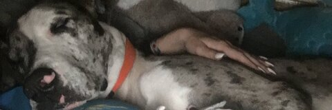 texas_princess OnlyFans - Free Access to 32 Videos & 49 Photos Onlyfans Free Access