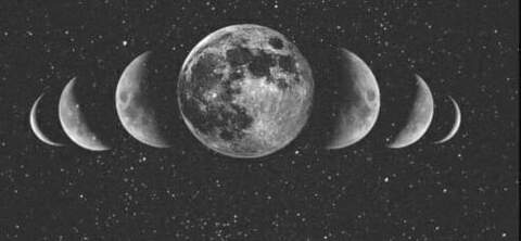 th0t-p0cket OnlyFans - Free Access to 32 Videos & 49 Photos Onlyfans Free Access