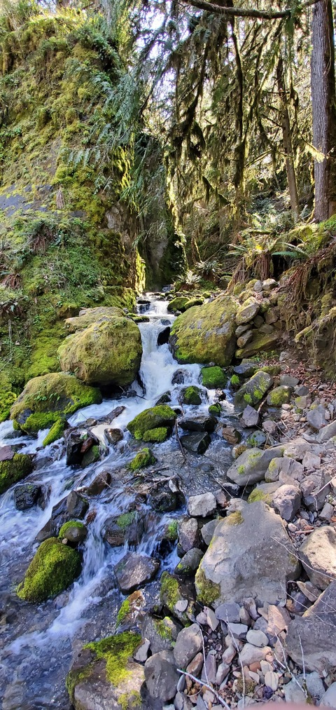 that_oregon_guy OnlyFans - Free Access to 52 Videos & 64 Photos Onlyfans Free Access