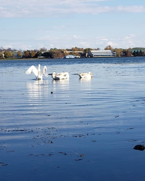 the.mysterious.g-spot OnlyFans - Free Access to 32 Videos & 49 Photos Onlyfans Free Access