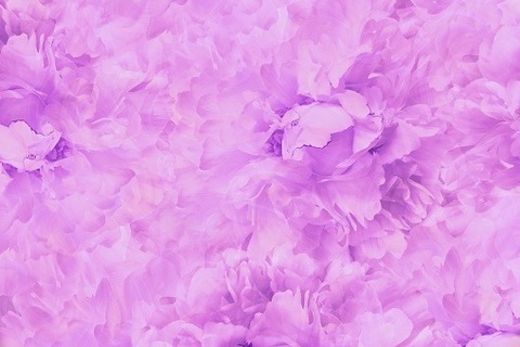 the.twins OnlyFans - Free Access to 32 Videos & 49 Photos Onlyfans Free Access