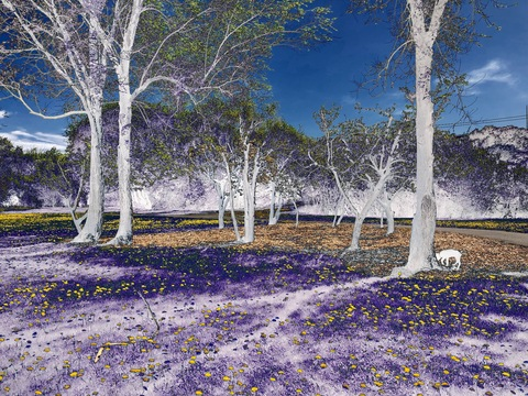 the_modern_aristotle OnlyFans - Free Access to 32 Videos & 49 Photos Onlyfans Free Access