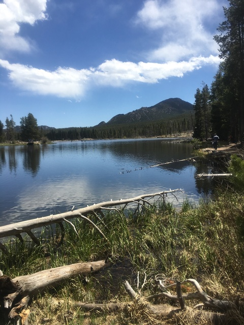 thealaskanbullworm1738 OnlyFans - Free Access to 32 Videos & 49 Photos Onlyfans Free Access