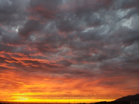 thebeachboy OnlyFans - Free Access to 32 Videos & 49 Photos Onlyfans Free Access